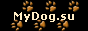 Сайт о собаках, форум о собаках