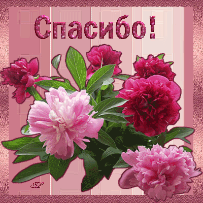     ))) -  - .