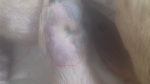 bezymyannyy_2.png bezymyannyy_2.png