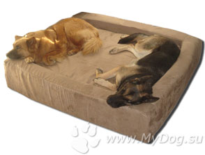 Кровать с бортиками для собаки