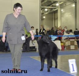 ПОБЕДИТЕЛИ ЕВРАЗИИ 2013