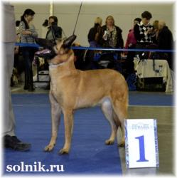 ПОБЕДИТЕЛИ ЕВРАЗИИ 2013
