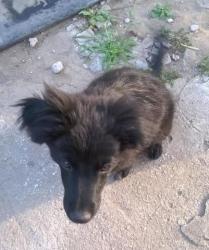Бим