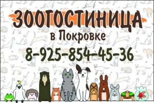 Зоогостиница в Покровке, Клинский район, МО