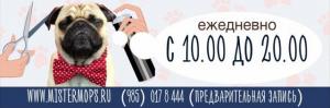 Стрижка, мытье, тримминг, стрижка когтей, чистка желе, ушей. Груминг салон в Жул