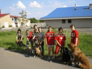 Дрессировка собак в Донецкой области