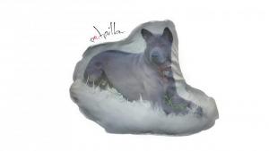 petpillow
