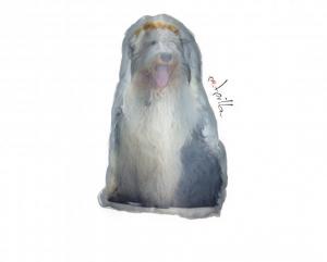 petpillow