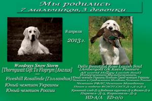 родители щенков (победители выставок)