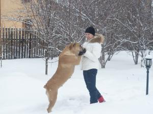 Южно-африканский бурбуль, щенки