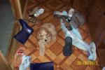 100_3481.jpg 100_3481.jpg