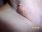 100_7388.jpg 100_7388.jpg
