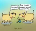 Стоит ли вязать? Стоит ли вязать?