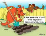 Дрессировка Дрессировка