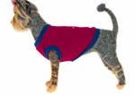 1.png 1.png