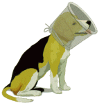 20080310-dogcollar.gif