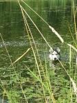 20130813_155806.jpg 20130813_155806.jpg