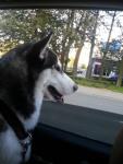20130828_201142.jpg 20130828_201142.jpg
