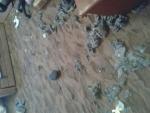 20140319_192429.jpg 20140319_192429.jpg