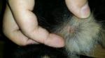 20141023_231411.jpg 20141023_231411.jpg