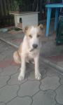 20151003_155848.jpg 20151003_155848.jpg