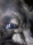 20160309_212356.jpg 20160309_212356.jpg