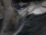 20160309_212403.jpg 20160309_212403.jpg