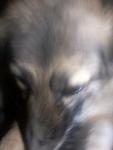 20160309_212431.jpg 20160309_212431.jpg