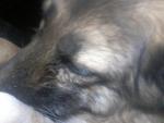 20160309_212436.jpg 20160309_212436.jpg