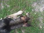 20160510_173407.jpg 20160510_173407.jpg