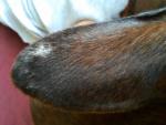 20210523_112943.jpg 20210523_112943.jpg