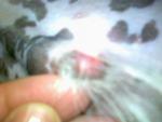 28032013056.jpg 28032013056.jpg