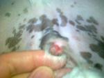 28032013057.jpg 28032013057.jpg
