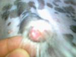 28032013058.jpg 28032013058.jpg