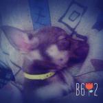 b612-2016-09-07-12-26-04.jpg b612-2016-09-07-12-26-04.jpg