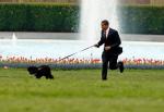 Собака Барака Обамы