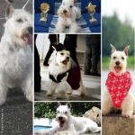 c_1051764abebc5b56a27c3d25b54b8f28.jpg c_1051764abebc5b56a27c3d25b54b8f28.jpg