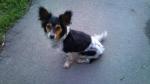 dsc00448.jpg dsc00448.jpg