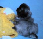 dsc00829.jpg dsc00829.jpg