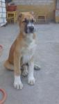 dsc01024.jpg