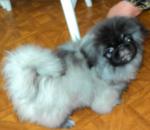 dsc01115.jpg dsc01115.jpg