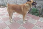 dsc01795.jpg