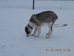 dscn2665.jpg