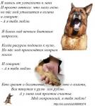 getimage_5.jpg getimage_5.jpg