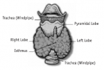 i_005.png i_005.png