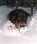 image003.jpg image003.jpg