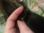 image.jpeg image.jpeg