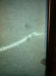 img-20141116-wa0010.jpg