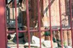 Зоопарк в Екатеринбурге Зоопарк в Екатеринбурге