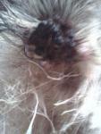 img_20130720_214119.jpg